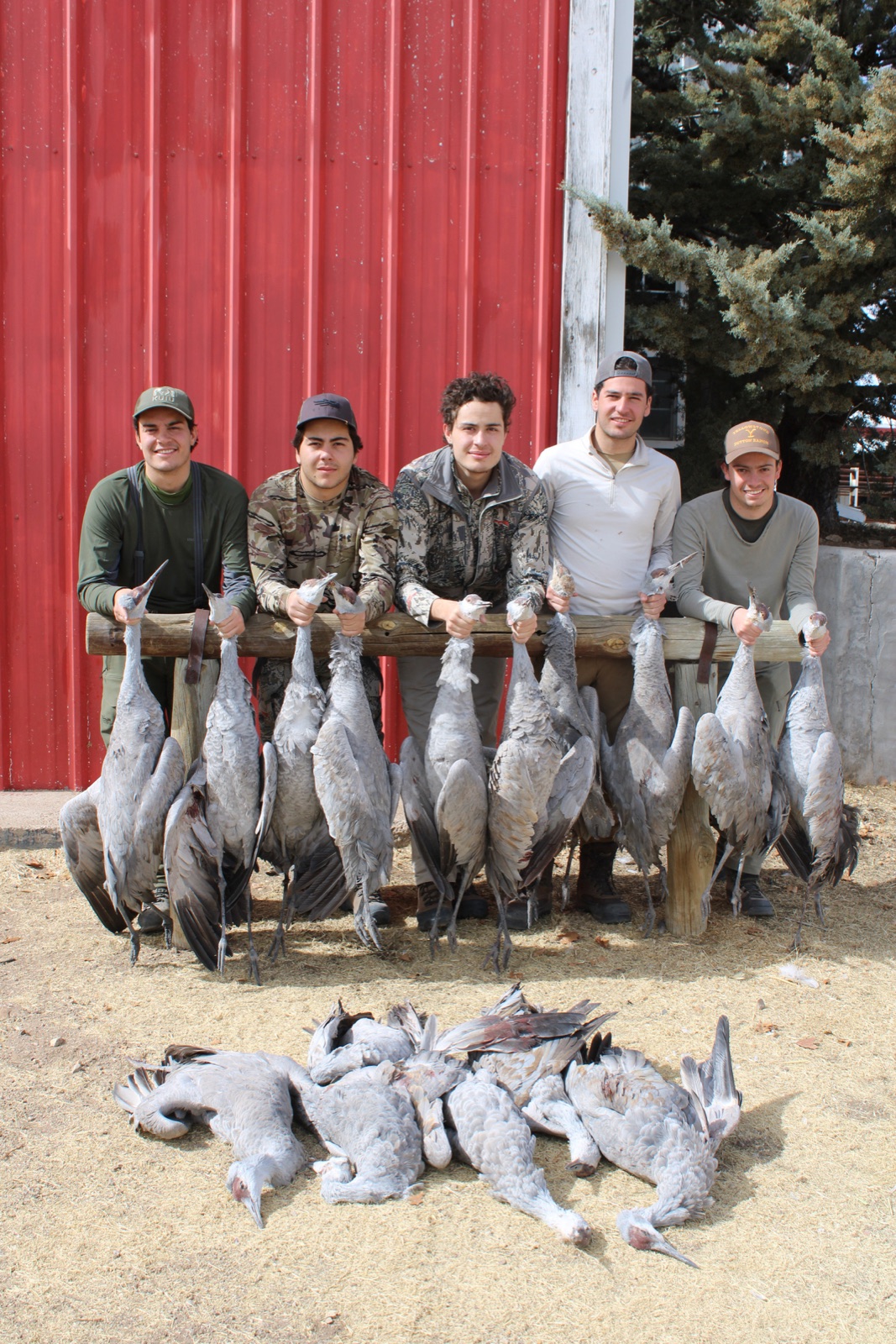 Hunting party with cranes hanging from the rack at the red barn